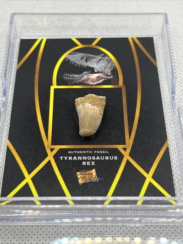 2022 Pieces of the Past Tyrannosaurus Rex Zahn Fossil Reliquie #10 - Bild 3 von 3