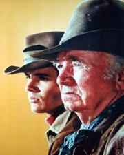 The Guns of Will Sonnett 1967 TV western Walter Brennan Dack Rambo 24x36 poster