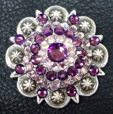 WESTERN HEADSTALL SADDLE HORSE TACK RHINESTONE CRYSTAL CONCHO 1-1/2" screw back