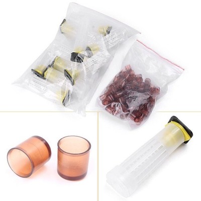 Queen Aufzucht Cupkit System Bee Imkerei Catcher Box +100 Zellenbecher