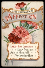 Postcard Red Carnation Affection, Poem About Love