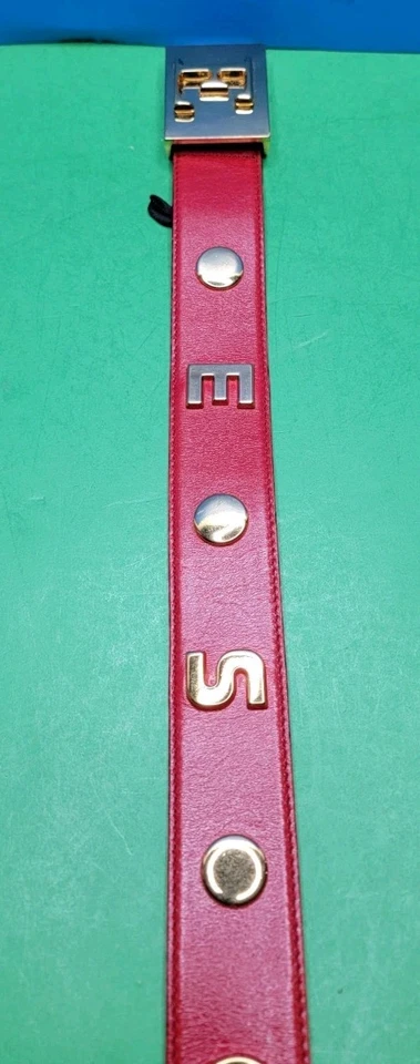Escada Rosa Con Medallones Tonos Dorados - Talla 42 Para 31" - 33" Cintura - Alemania Foto 4 de 4