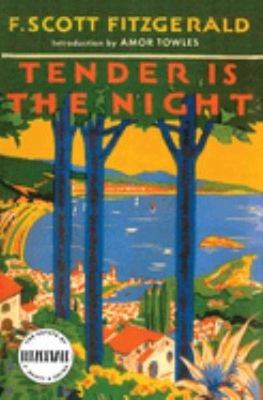 Tender Is the Night : A Novel Paperback F. Scott Fitzgerald