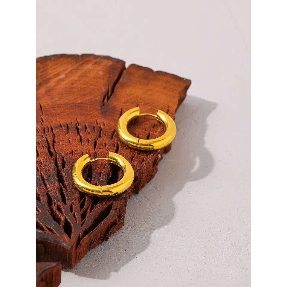 Hoop Earrings Huggie Jewelry for Women Men 14k Gold Plated Hoops Stainless Steel-image