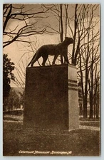 Bennington VT Ethan Allen Haunt~Catamount Tavern Monument~Cougar~c1910 Postcard