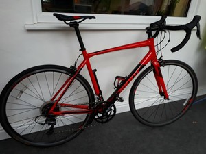 giant contend 2 2019