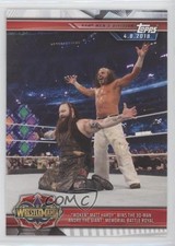2019 Topps WWE Road to Wrestlemania Matt Hardy #34 0ol8