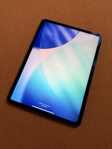Apple iPad Pro 11" (2021, M1) 256GB Wi-Fi – Sehr guter Zustand – 86% Akku