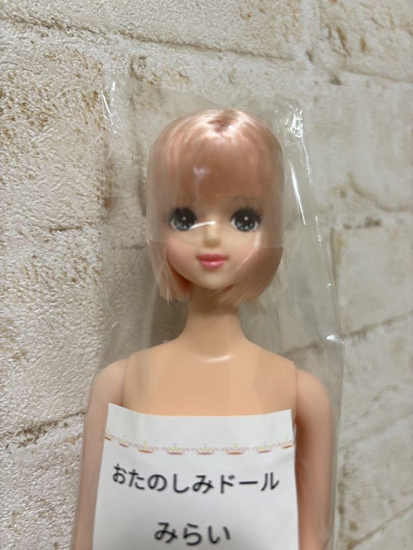 LICCA CASTLE 10.62in Fashion Doll Jenny Friend MIRAI Custom Fun Doll for Collectors