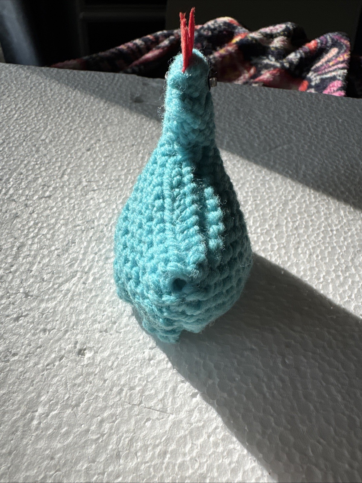 Picture 6 of 13