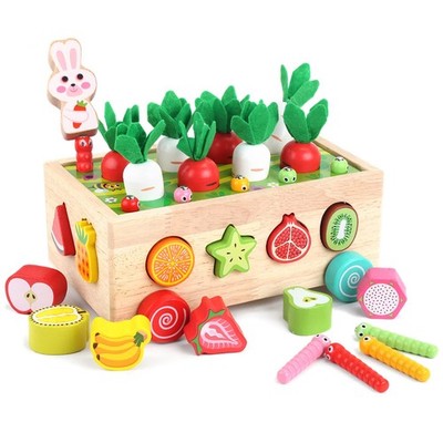 Montessori Wooden Shape Sorting Toys for Toddlers Learning Skills