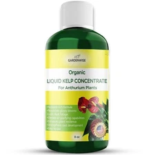 Organic Liquid Seaweed Anthurium Fertilizer | Kelp Plant Food for Indoor Plants