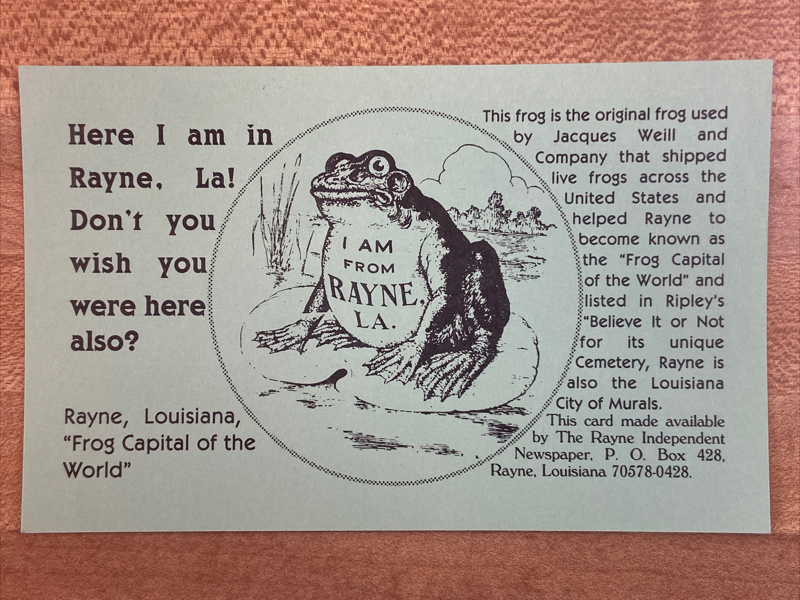 Rayne, Louisiana Postcard "Frog Capitol of the World" "City of