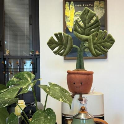 JellyCat 45cm Monstera Delicious Plant Series Plush Toy Cute