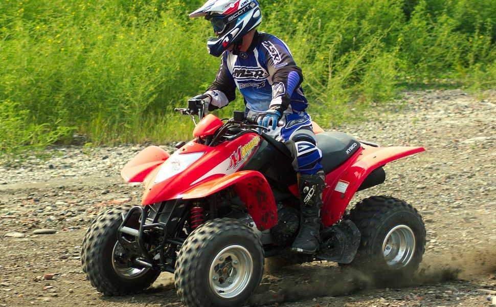 KYMCO MONGOOSE250 MXU250 KXR250 STATOR GENERATOR 31120LBA790A (D406