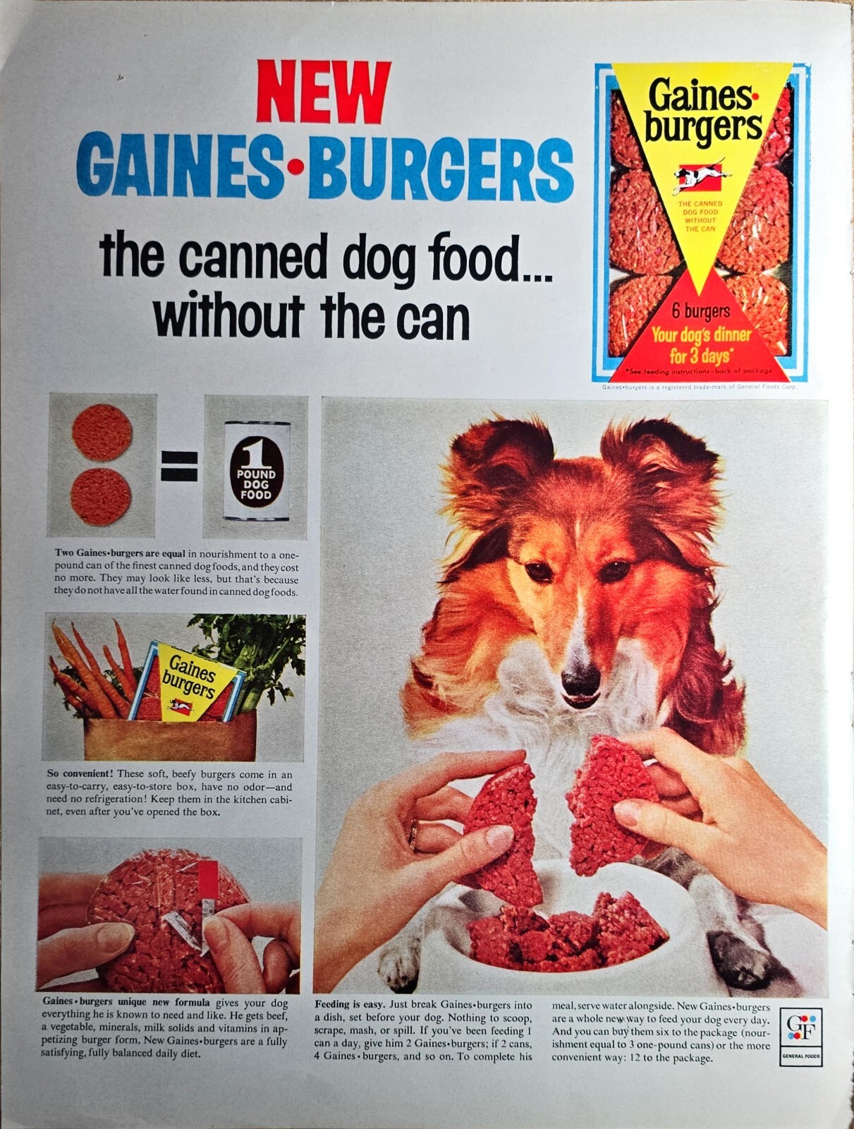 Without The Can-lassie Dog-1964 Vintage Print Ad