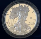 2020 W End of WWII 75th Anniversary Proof Silver Eagle V75 Privy