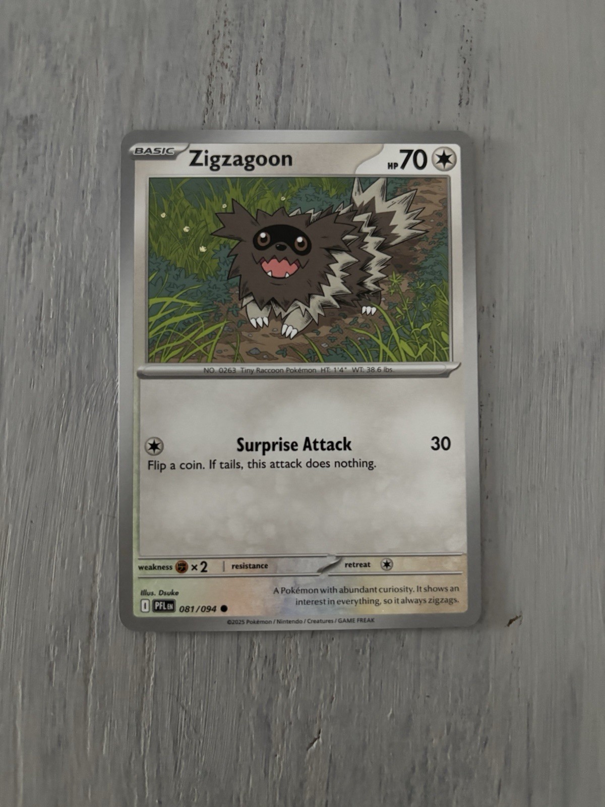 Zigzagoon Pokemon TCG Phantasmal Flames 081/094 Regular M/NM