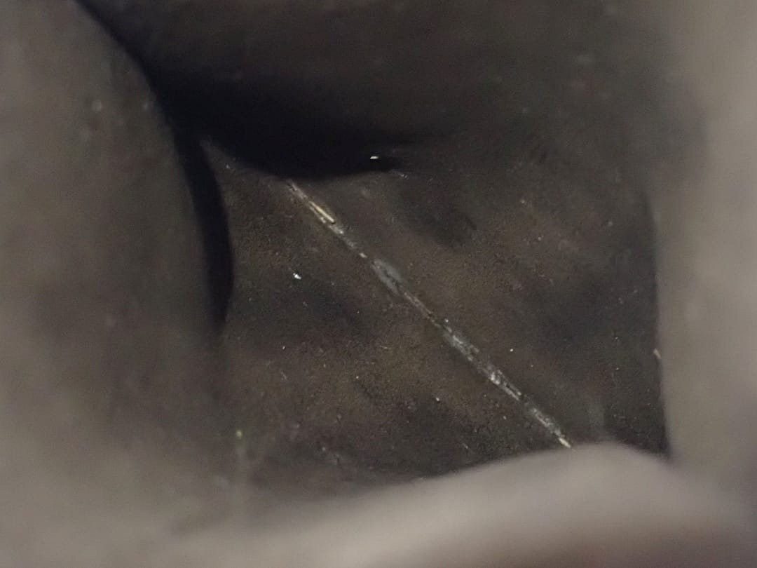 Picture 12 of 12