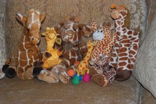 7 Wonderful Giraffes Collection of Various Sizes - Stuffed Animals - Soft Toys