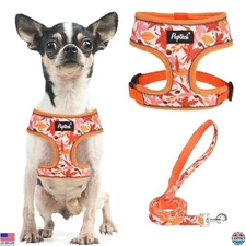 PUPTECK No Pull Comfort Padded Dog Harness & Leash Set - Orange Leaf, Size S