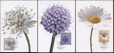Liechtenstein 2015 Meadow Flowers (Maxi Cards Set. Mint)