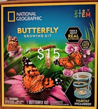 National Geographic Butterfly Growing Kit for Children 4 Activity Birthday Gift