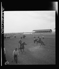 Washington DC Woodrow Wilson High School Students Horseback Riding 1943