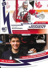 Tomas Suchanek, 2 different czech cards, San Diego Gulls, Anaheim Ducks