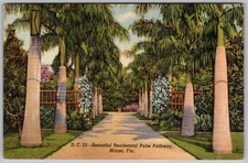 Vtg Linen Postcard Fairchild Tropical Garden Walkway Miami, FL 1940s