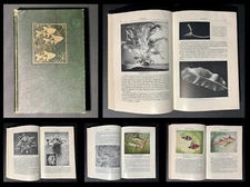 EXOTIC AQUARIUM FISHES William T Innes 1950s BEAUTIFUL Illustrations VTG book