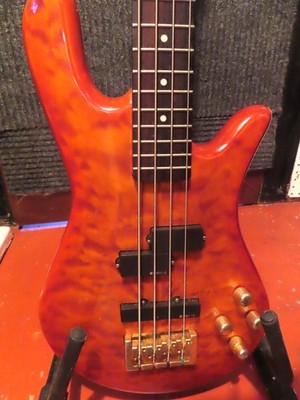 Spector Bass Guitar