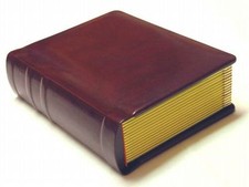 Professional 4x6 burgundy Wedding Album - 20 photos   Engraving Available 