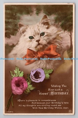 R803247 Wishing You Ever Such a Happy Birthday Cat Rotary Photo London Rajar Bro
