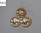 1913+1913-D+1913-S Buffalo Nickel Set/Lot ~ Type 1 ~ ZBL77