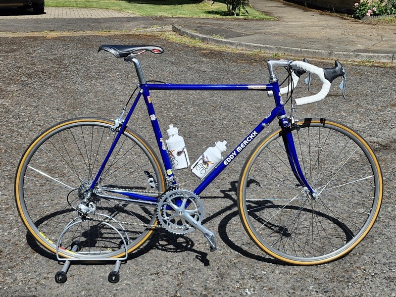 Eddy Merckx Classic Corsa Extra Road Bike Campagnolo Chorus Groupset