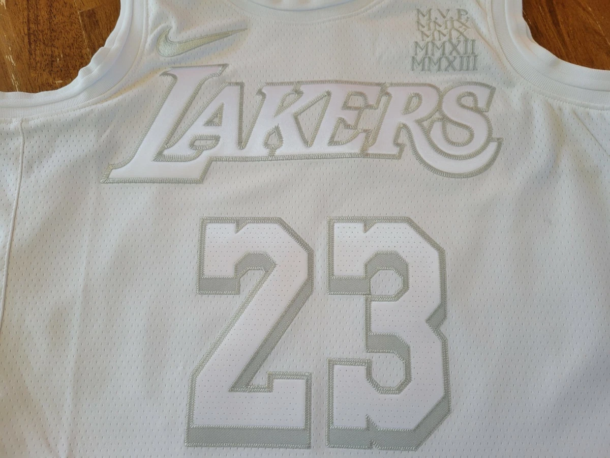 Nike LEBRON JAMES #23 LA Lakers Sunday White NBA Swingman Jersey sz Youth  XL