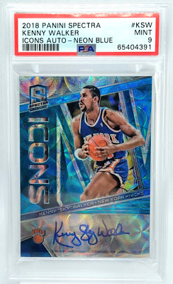 アナキンスカイウォーカー　サインカード auto 60 Kenny Sky Walker AUTO PSA 9 POP 1 2018-19 Spectra