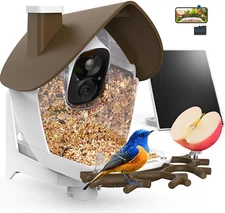 ® P33 - Smart Bird Feeder with Camera Solar Powered, 2K Video Bird Camera Feeder