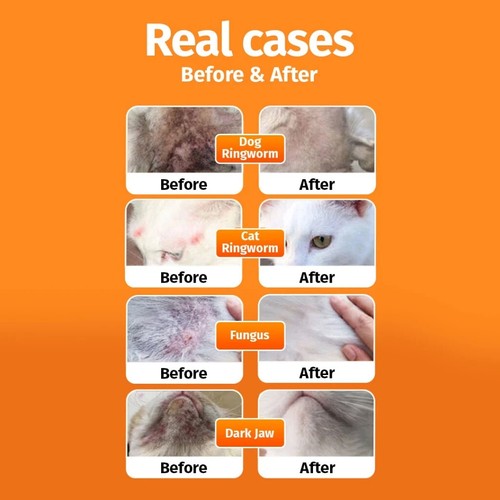 NEW Pet Antimicrobial Spray Cat & Dog Skin Wound Fungus Ringworm Itching 50ML 6x - Picture 3 of 10