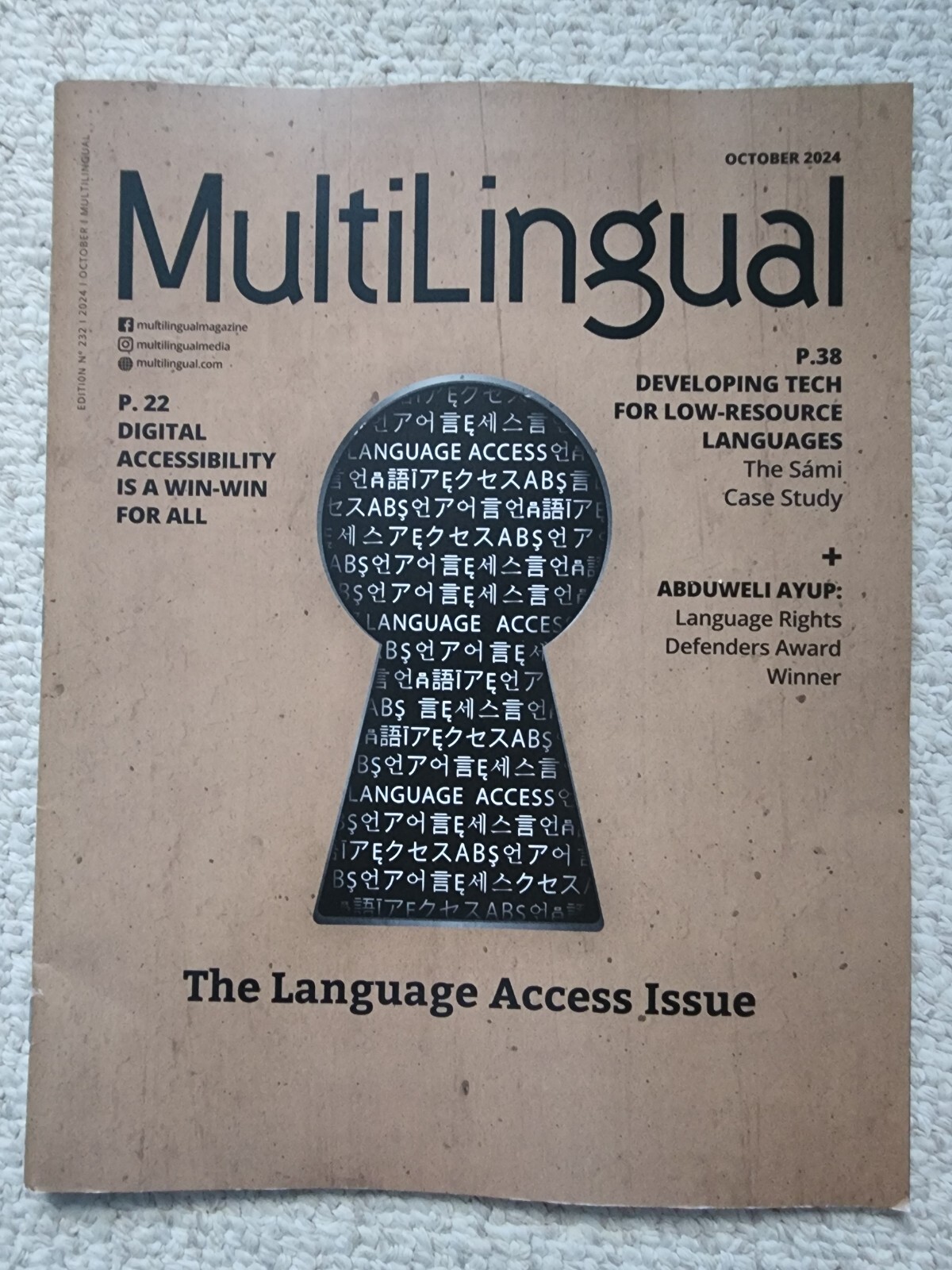 MultiLingual Magazine October 2024 The Language Access Issue | eBay