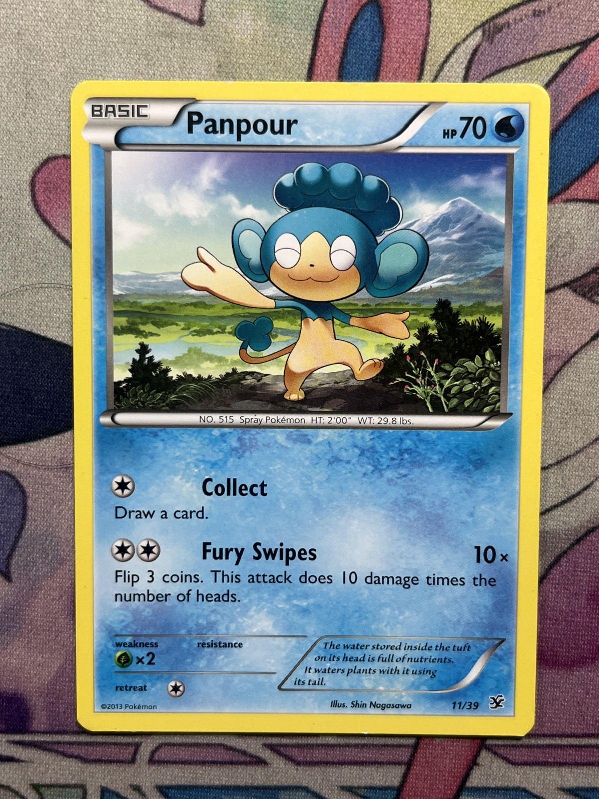 Panpour 11/39 Kalos Starter Set Pokemon Lightly Played