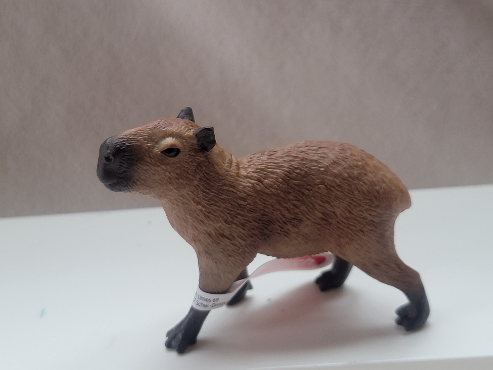 Schleich CAPYBARA *NEW* 14934 Wild Life FIgure