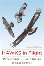 Hawks in Flight: Second Edition - Hardcover By Sibley, David - GOOD