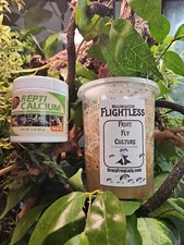 Flightless Fruit Fly Culture Live Dart Frog Food 32 oz  Zoo Med Calcium With D3