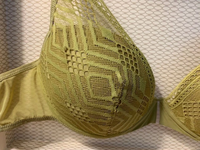 Nuevo Sujetador Passionata Ondine Contorno de Encaje, Nuevo con Etiquetas 36C Color Verde Foto 3 de 3