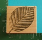 Hero Arts Floral Engraving Leaf Rubber Stamp E1774