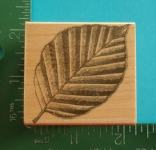 Hero Arts FLORAL ENGRAVING LEAF Rubber Stamp E1774