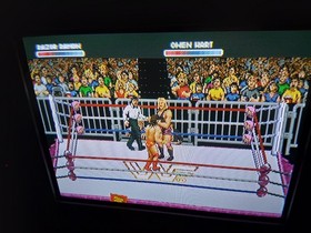WWF RAW Sega 32x  CIB With MANUAL Authentic Tested And Working