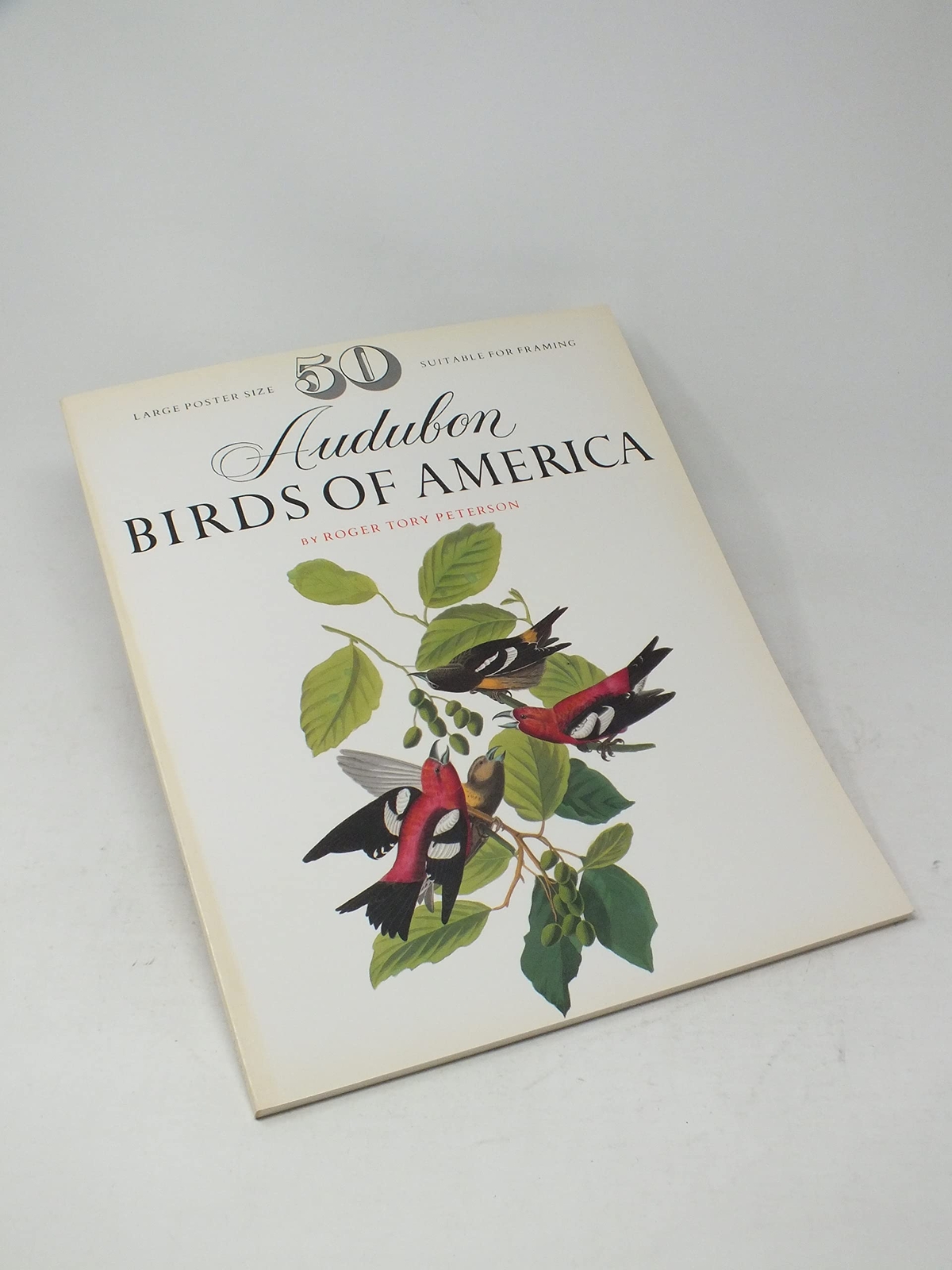 50 Audubon birds of America From the original double elephant folio [Paperback eBay